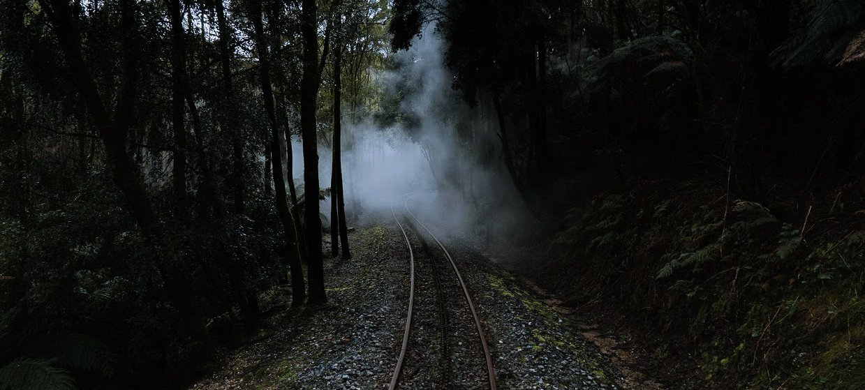 A railway track curving sharply to the left through a deep, shadowed cutting with steep, dark, moss-covered earthen sides in a dense forest. Photography by Ollie Khedun.