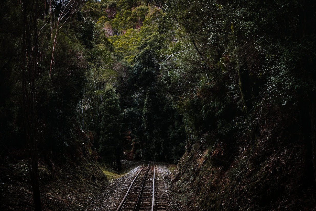 A railway track passing through a lush, dark green forest, curving gently to the left between steep, tree-lined embankments. Photography by Ollie Khedun.
