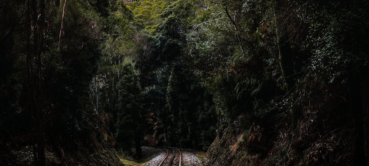 A railway track passing through a lush, dark green forest, curving gently to the left between steep, tree-lined embankments. Photography by Ollie Khedun.