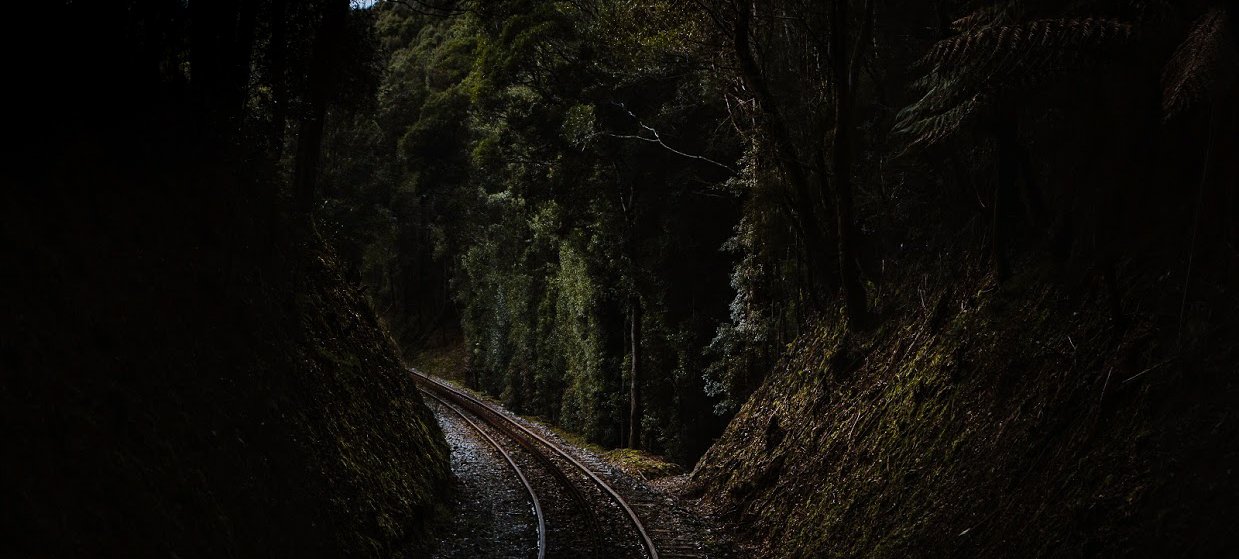 A railway track curving sharply to the left through a deep, shadowed cutting with steep, dark, moss-covered earthen sides in a dense forest. Photography by Ollie Khedun.