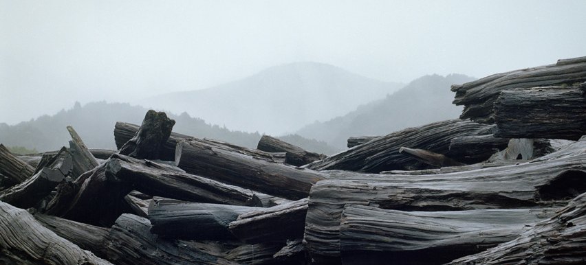 Huon Pine