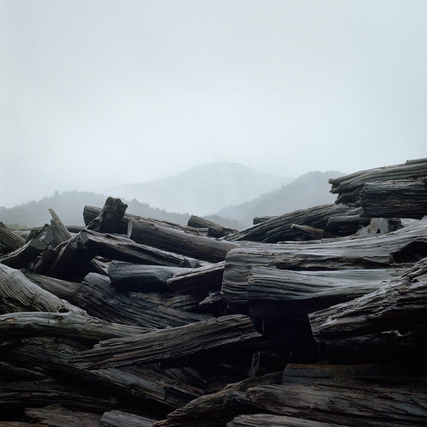 Huon Pine