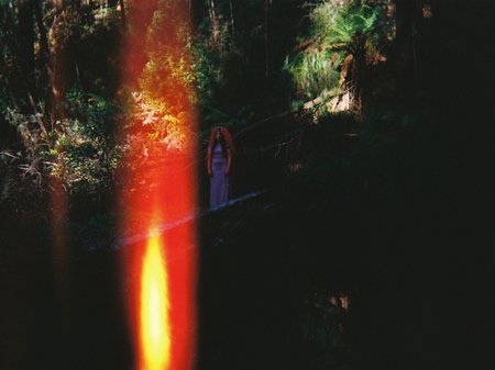 Marsha Merlot is nestled among a dense green forest, wearing a purple outfit while standing on a log in the hills. A warm orange candle flame creates a vertical beam of light through the image, adding a dramatic glow to the scene.