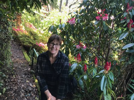 a photo of Cheryl Weare on a pathway covered in leaves and overflowing with green trees and vibrant pink flowers. Cheryl leans on a railing and smiles at the camera. Cheryl has pale skin and a brown full fringe with hair tied back. Credit artist.
