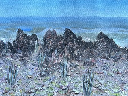 Looking West over Queenstown in Summer.