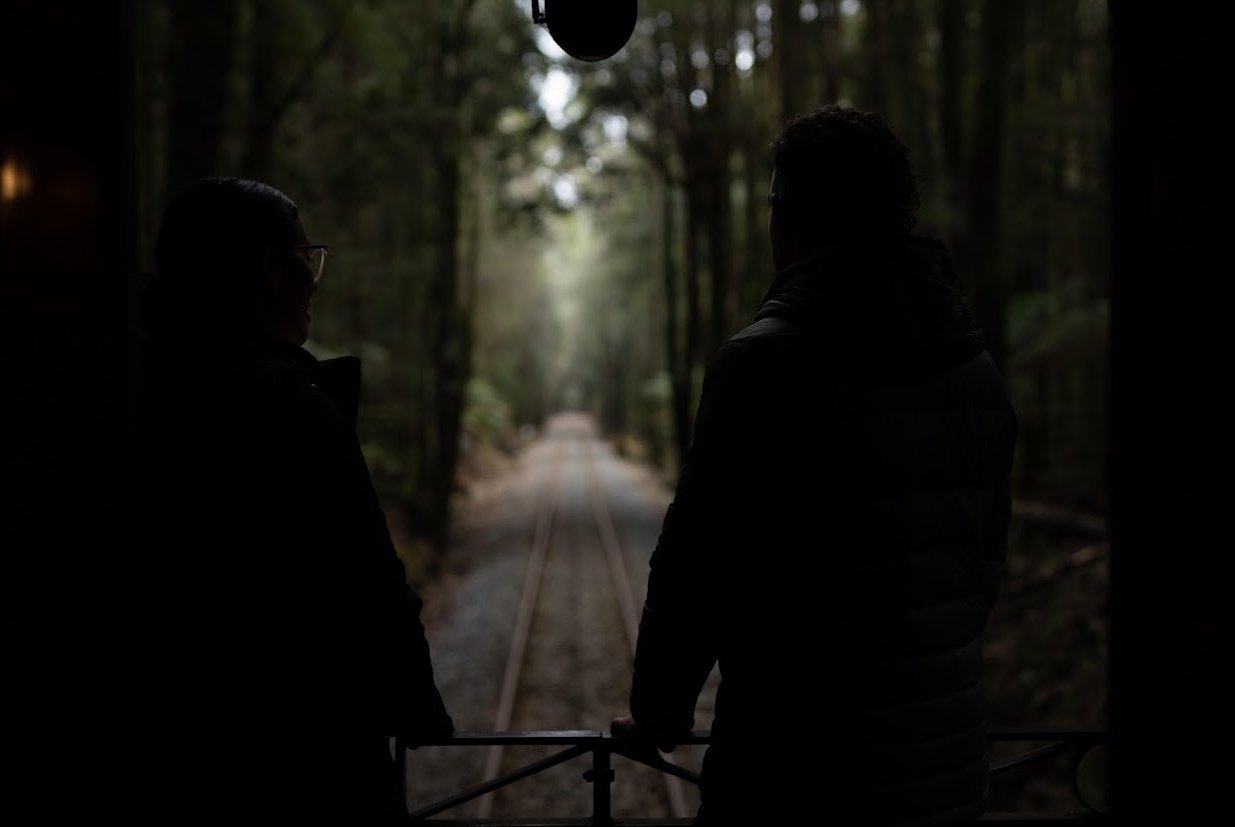 Silhouettes of two people on the back of a train looking out at tracks receding into a dense, dark forest.