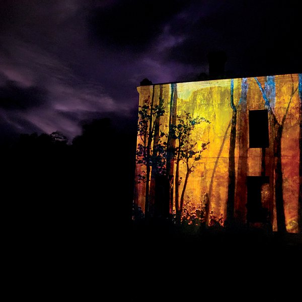 Neorama image. A photo taken at night of the outside wall of the Royal Hotel Linda. Shining onto the wall is a fiery mix of yellow and orange colours, with tall tree trunk shapes covering the building from top to bottom. Credit Zara Trihey.