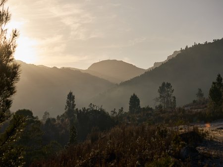 Rémi Chauvin – The Unconformity_General Queenstown Scenes_018_lowres