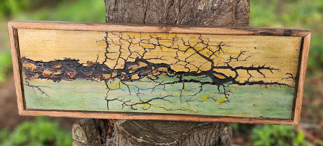 A photo of Matt Feldman and Mellissa Krushka work propped against a tree. The work is wide and thin, featuring colours of yellow, green and blue and has a large section of dark cracks in the central part of the work. Credit artists.