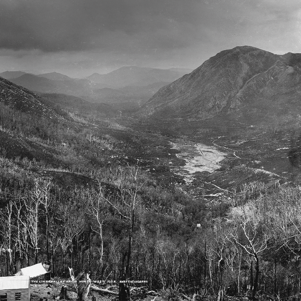 In the Footsteps of Charles Gould image. A black and white photo of zig-zagging tracks down the face of a mountain leading to wetlands at the base. Credit Beattie Hobart, Tasmanian Archive and Heritage Office.