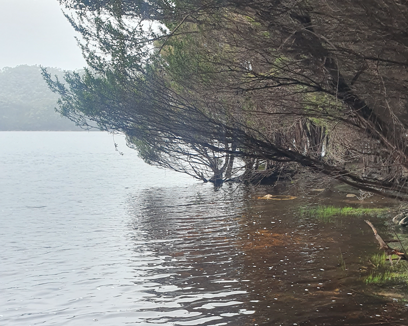 Lake Burbury Beanches