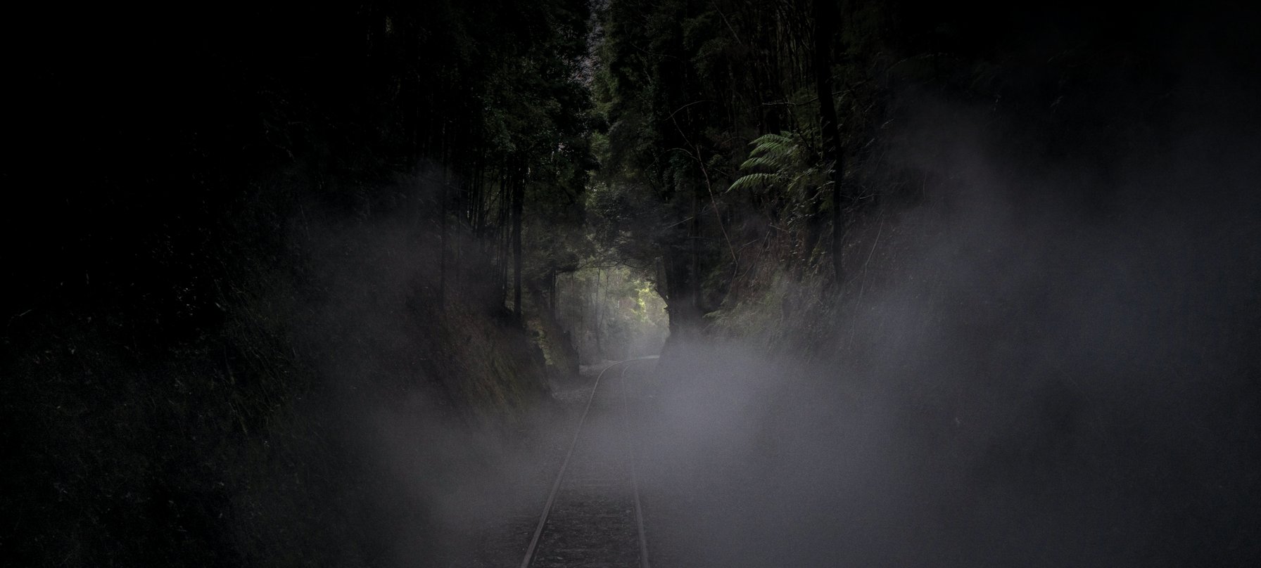 Railway tracks extending straight into a very dark, dense forest. The lower half of the image and the foreground tracks are heavily obscured by thick, glowing white mist or smoke, while a faint opening of natural light is visible at the end of the trees.