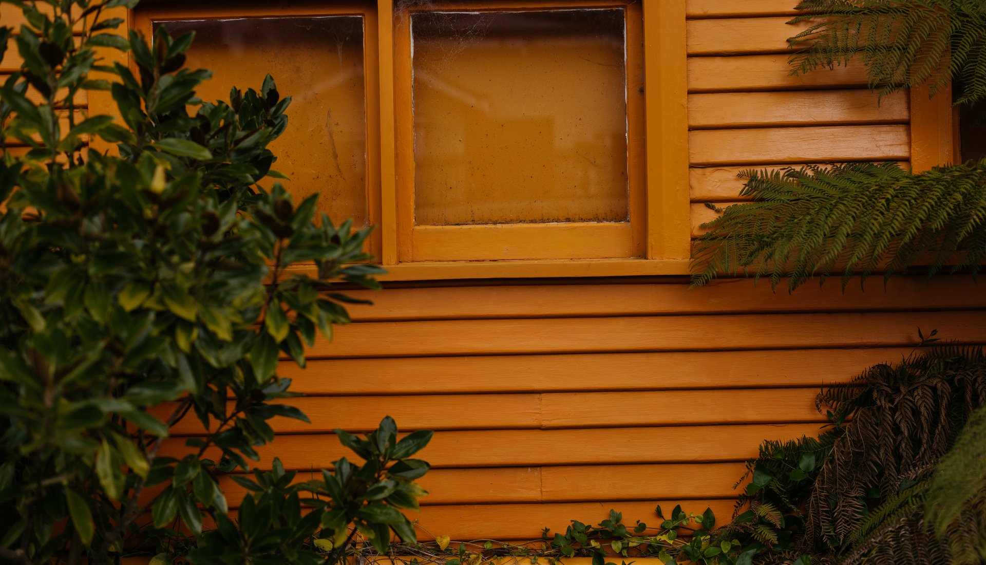 A photo of an orange weatherboard house surrounded by dark green foliage. Credit Jesse Hunniford