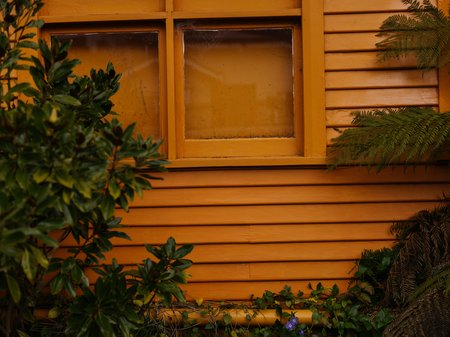 A photo of an orange weatherboard house surrounded by dark green foliage. Credit Jesse Hunniford