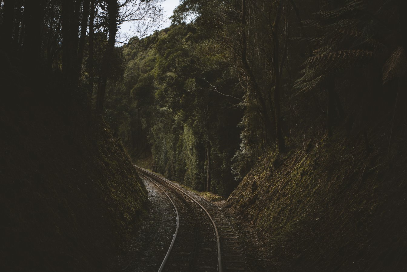 West Coast Wilderness RailwayOllieKhedun_WestCoastTAS_hr-03535 (1)