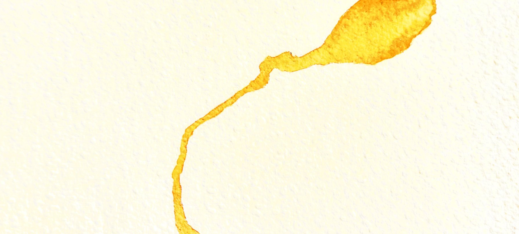 A line of yellow watercolour paint across a page, credit Priscilla Beck.