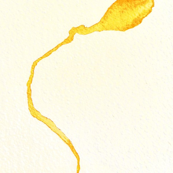 A line of yellow watercolour paint across a page, credit Priscilla Beck.