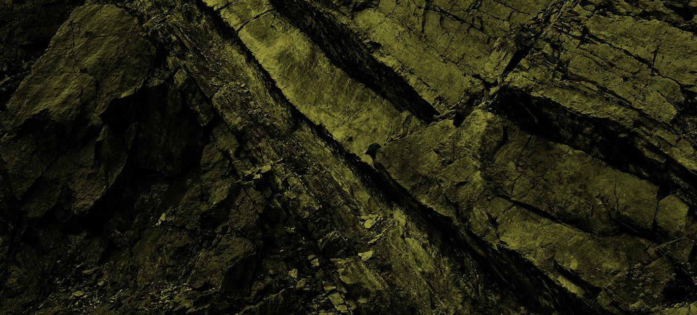 p212-1086–compressed_mono_gold.jpg