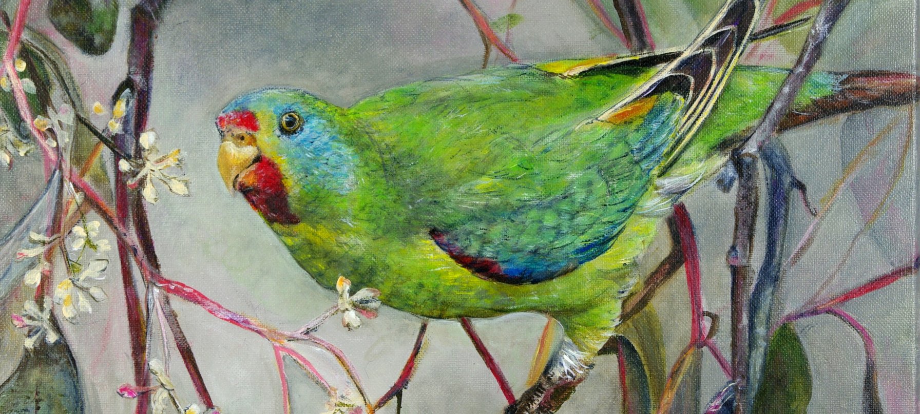 Maureen Bennetts - Swift Parrot