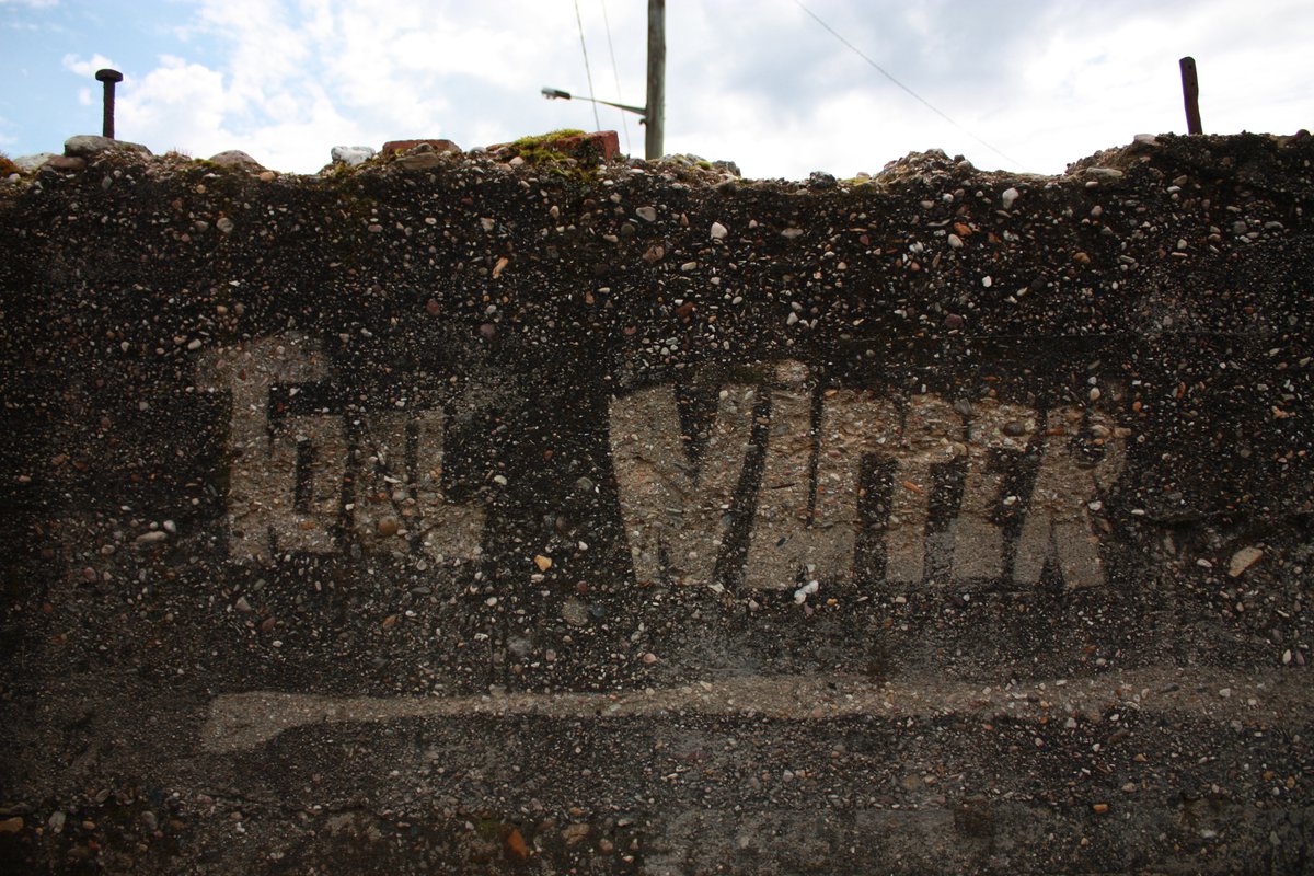 Eco Graffiti 1